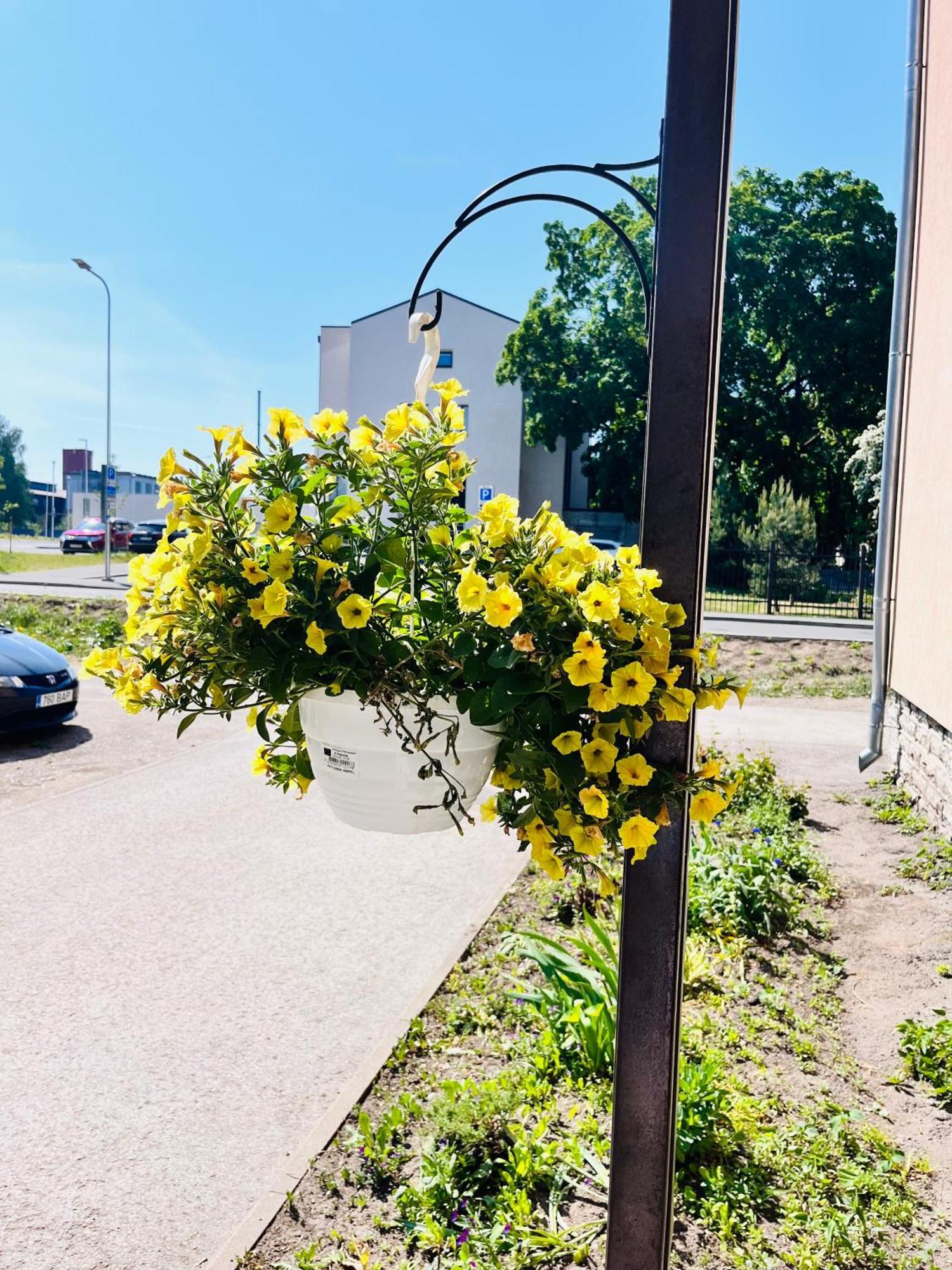 Tallinnhousing Studio For 4 With Free Parking 外观 照片