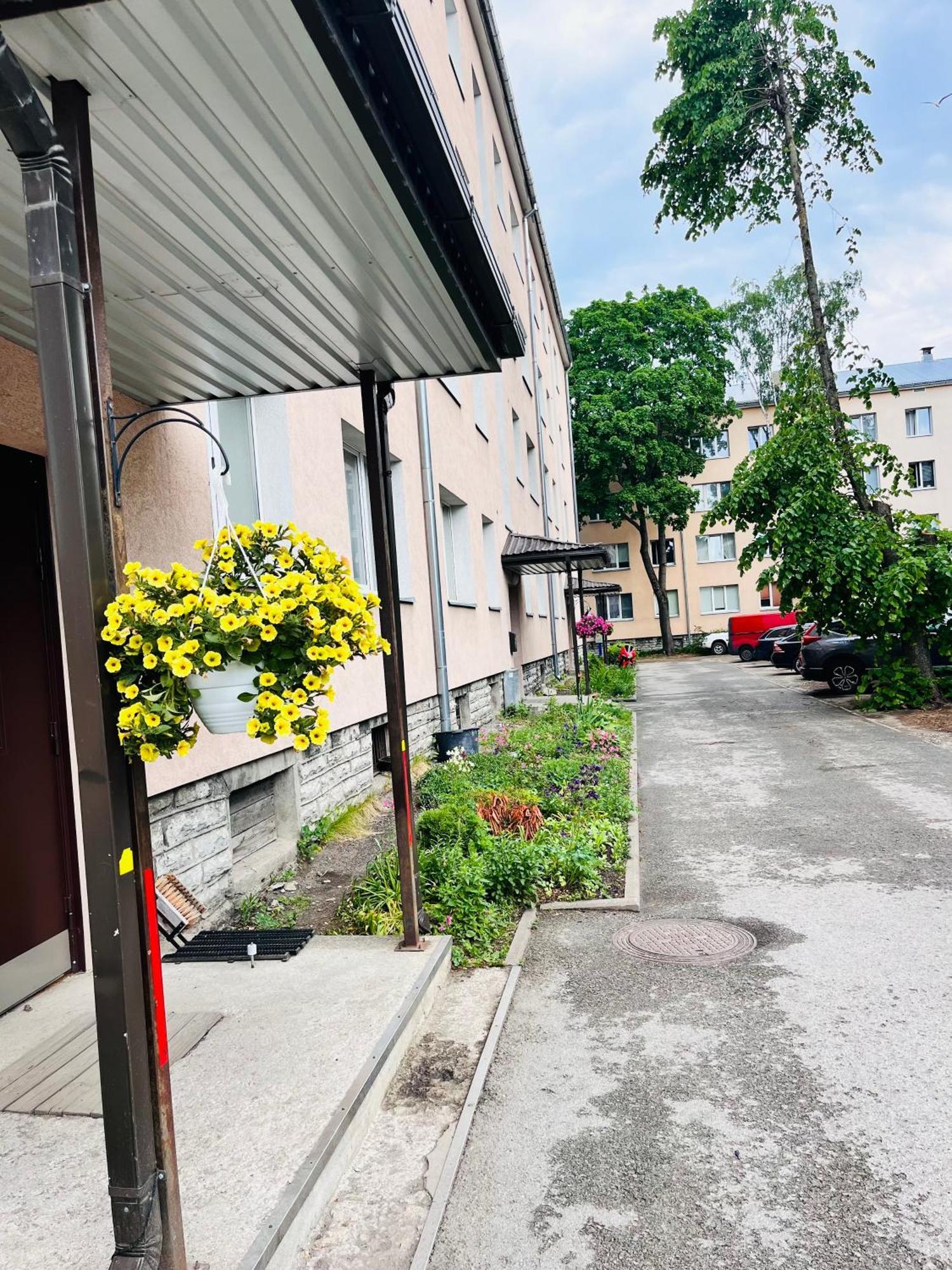 Tallinnhousing Studio For 4 With Free Parking 外观 照片